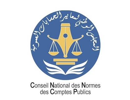 Consultation publique portant sur le projet de la norme des comptes de l’Etat « Les biens patrimoniaux »
