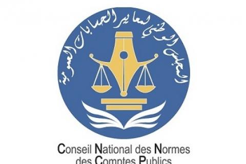 Consultation publique portant sur le projet de la norme des comptes de l’Etat « Les biens patrimoniaux »